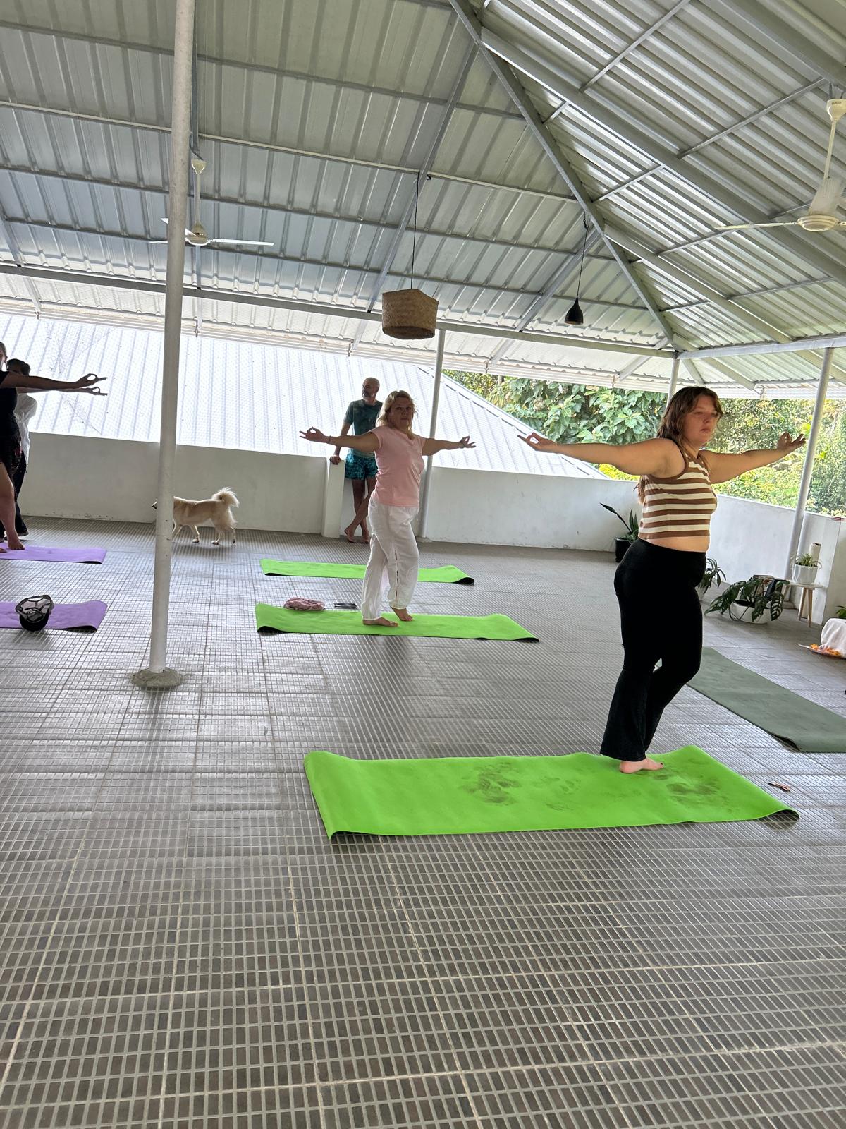Yoga Classes at Param Yogi